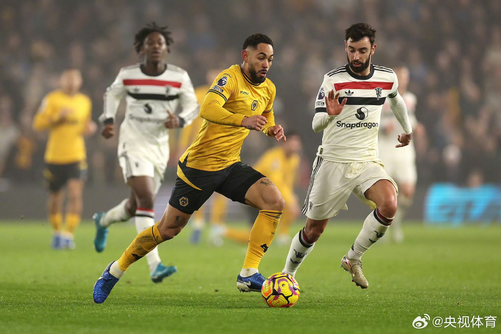 开云app下载- 美国犹他州家谱网官网入口 