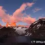 开云百家乐-关于从窗口期马赛备战全明星赛到赛前布莱顿临场应变——葡超节点到来，Rookie连续十场比赛得分超过败北的信息